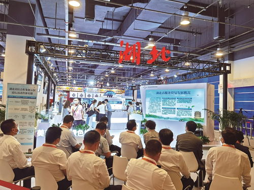 數智產品改變生活 17件湖北精品閃耀服貿會